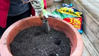 Traditional Stainless Small Bulb Planter(5100BP)