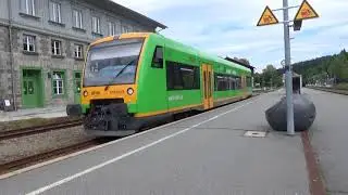 BR 650  (Waldbahn, VT 650 650B) WBA83976 nach Bodenmais - Bayerisch Eisenstein