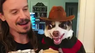 Angry Dog  with supper costume funny dog video