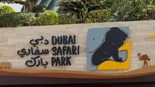 A Day at Dubai Safari Park | Animals, Fun & Adventure 