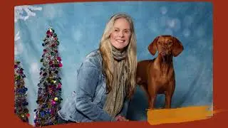 Animal Actor Kimber the Vizsla: Level 2