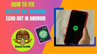How to Fix Spotify Not Working Echo Dot in Android