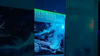 mini vlog Club void gaming streaming Dofus