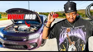 Самый дешевый мод Whine для Hellcat
