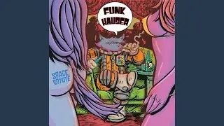 Funk Hauser