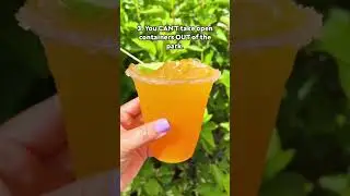Disney World Drinking Rules 🍻