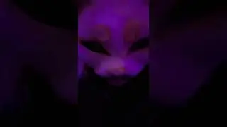Heheh #moyemoye #therian #furry #relatable #real #theriantropy #health #money #mask #therianmask