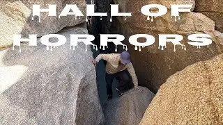 ЛАБИРИНТ В КАНЬОНЕ ЩЕЛЕВОЙ ВЕРХОВКИ! 🤯 Мы прошли по ЗАЛУ УЖАСОВ в национальном парке Джошуа-Три