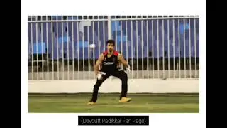 Drop or Drip? You Decide.😁 | Devdutt Padikkal Catches Practice | DP Fan Page | #shorts