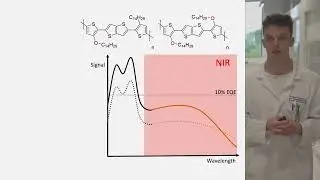 Expanding the spectroscopic applicability of organic photodetectors: The full NIR therapeutic window