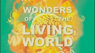 Wonders of the Living World: In conversation: Hilary Marlow & Margaret Miller