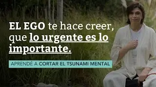 MINI PR&Aacute;CTICA CONSCIENTE PARA CORTAR EL TSUNAMI MENTAL - por Gaby Piccoli