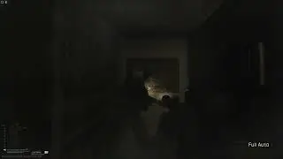D2 rats ratting