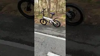 beauty world after rain❤️ #himo #ebike #bike #rain #tree #road #z20 #bmx #beauty #world #sports