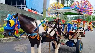 NAIK KUDA ~ KUDA DELMAN ~ NAIK DELMAN ISTIMEWA - LAGU DUA MATA SAYA - SATU² AKU SAYANG IBU