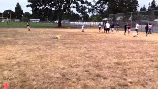 PPK #5