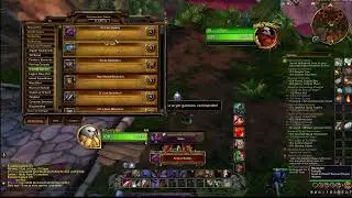 Casual Retail Classic WOW, was a deathless run until Blackwing Lair