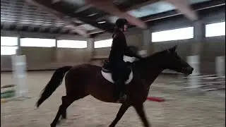 Lorraine (Corazon x Lawito) 2026/01/12 - training