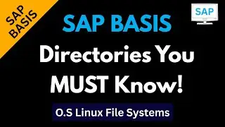 Must-Know Linux Directories for SAP Admins |Important SAP BASIS Linux Directories List|File Systems