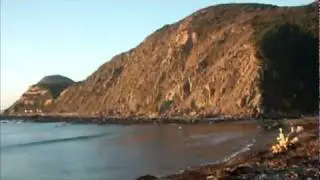 Trip to Makara, Wellington, New Zealand | My Love - Blackmill