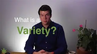 What is a Variety? | Hemp Vernacular