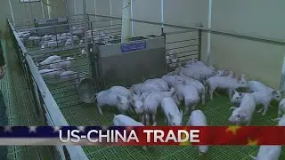 Minnesota Pork Producers Concerned About Chinese Tariffs