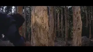 King Boxer 1972 - Thrown Head-First Through Tree