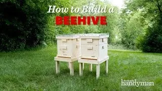 How to Build a Langstroth Beehive