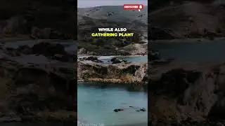 Остров Каталина: раскрывается жизнь древних чумаш и тонгва.