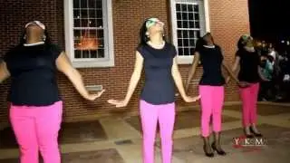 Mu Mu Chapter of AKA Spring 2013 Probate