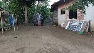 Bismillah MasyaAllah Hasan Husain main leang leong 