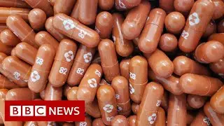 First pill to treat Covid gets approval in UK &ndash; BBC News