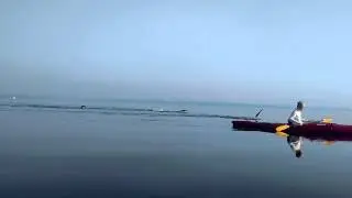 Smooth as glass. Marshall Cove- Islesboro
