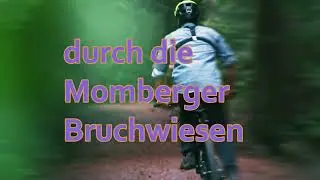 Momberger Bruchwiesen 2024