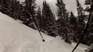 Beaver Creek- Royal Elk Glade into Black Bear Glade