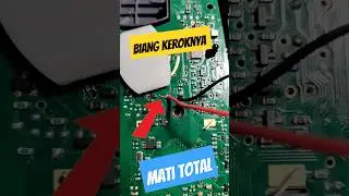 Tang Amper Kyoritsu 2117 R Mati Total