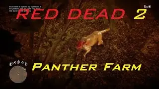 Red Dead Redemption 2 - Easy Panther Farm