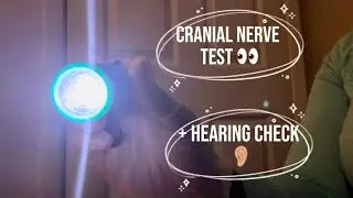 ASMR: Cranial Nerve Exam 👁️🧠 Faceless Roleplay + Hearing Test 👂🏽