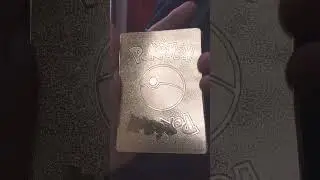 Flying Pikachu v