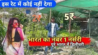 मात्र 5₹/- से नर्सरी पौधा। Plant nursery visit। plant price with names #nursery #plants