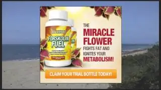 Forskolin Fuel| Jump Start Your Weight Loss Program