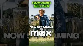 🔵 #MAX #HBO #shortvideo #ytshorts #ytshort #youtubeshorts #shirtvideo #streaming #stream