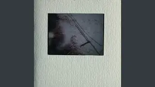 Experiments on Monkeys