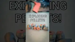 Most AWESOME Airgun Pellets EVER?