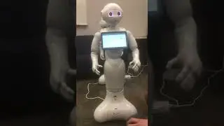 Pepper Android: Joke Maker Robot demo