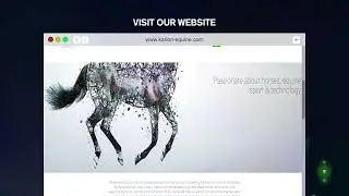 Karion Equine || Technologies To Improve You Horse's Fitness & Performance.