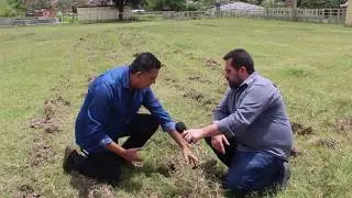 Especialista em solos explica a importância da subsolagem