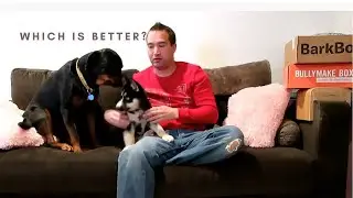 BARKBOX vs BULLYMAKE | Unboxing | Reviews | Large Dog with extra toy