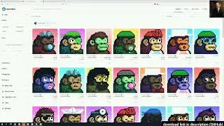 h0und | Fastest OpenSea NFT Bot | FREE TRIAL