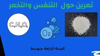 تمرين شامل حول عملتي التنفس والتخمر عند الخميرة-السنة الرابعة متوسط